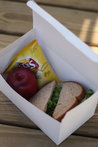 White Paper Carryout Food Boxes 9x5x4 Inches - 250 Pack