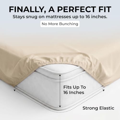 Queen Size Cotton Sateen Bed Sheet Set - 500 TC Cream Beige - 4 Pieces