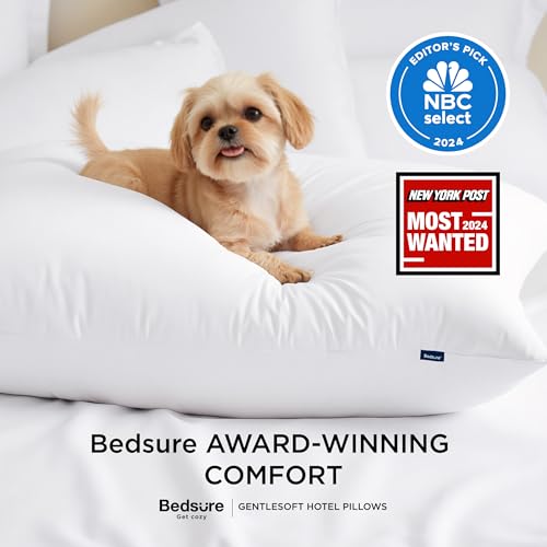 Bedsure King Size Pillow Set of 2 - Soft Cloud-Like Comfort, Hotel Quality, 19x34 Inches, Variation: Soft / King 2-Pack