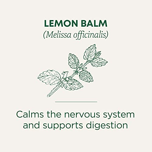Organic Lemon Balm Tea Bags - 16 Count Pack of 6, Calms Nervous Tension & Supports Digestion