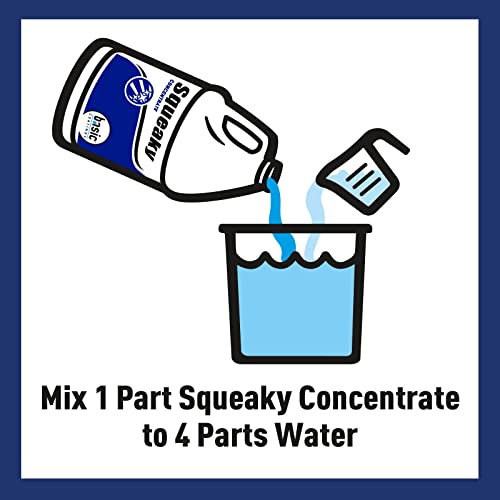 Basic Coatings Squeaky Hardwood & Floor Cleaner Concentrate 1 Gal