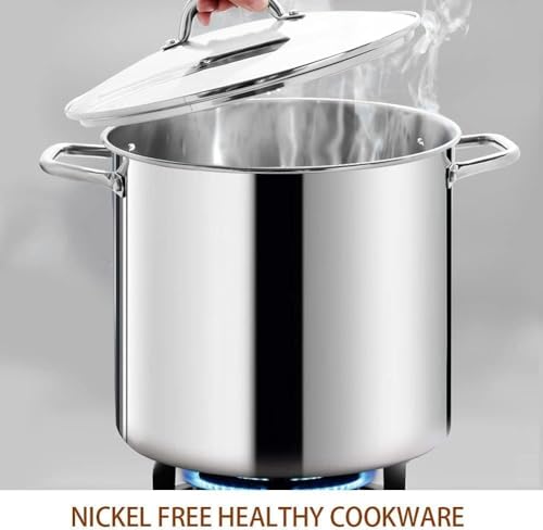 16 Quart Nickel-Free Stainless Steel Stock Pot with Glass Lid - Mirror Finish, Induction Compatible