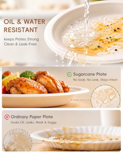 Heavy-Duty 9-Inch Compostable Sugarcane Plates - White, 500 Pack