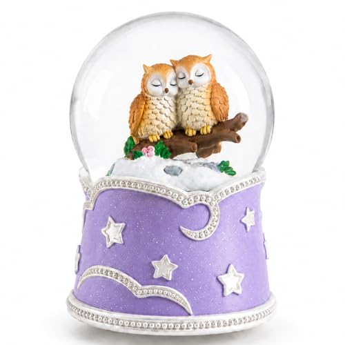 Mr.Winder Owl Snow Globe Music Box with Color Lights - Musical Decor Gift