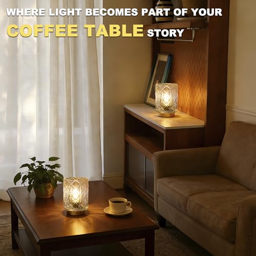 ULAROOM 2 Pack Cordless Battery Operated Table Lamps with Timer, Warm White Glass Shade for Bedroom & Decor (Grid-Clear)