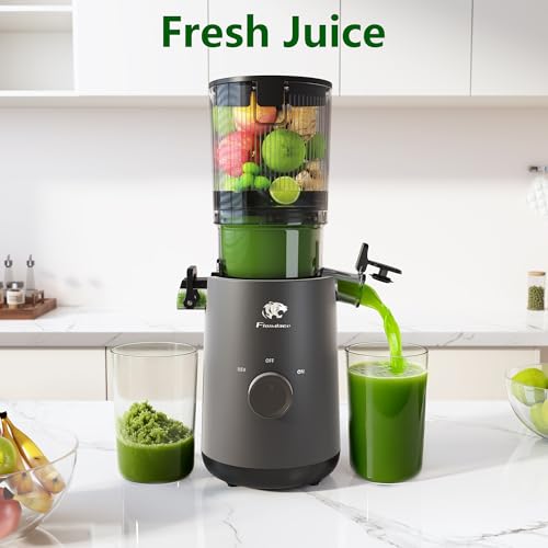 Juicer Machines, Cold Press with 5.3" Extra Large Feed Chute and