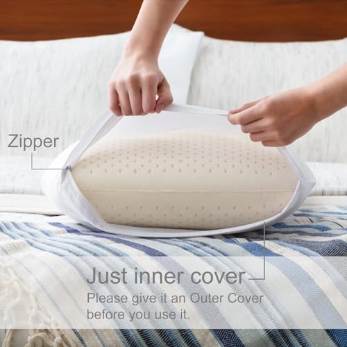 Queen Talalay Latex Pillow - Luxury Soft Natural Foam Bed Pillow for Side, Back & Stomach Sleepers - Breathable Cover (Mid Loft)
