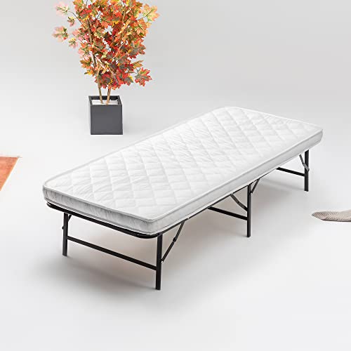 Nutan 14-Inch Foldable Metal Platform Bed Frame Twin Black No Box Spring Needed