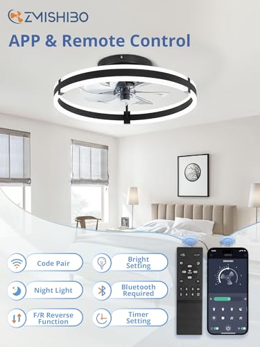 Low Profile 19.7 Inch Ceiling Fan with Lights and Remote Control - Black, Smart App Compatible