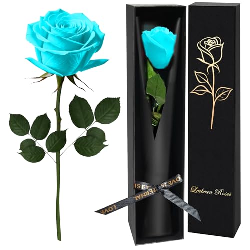Light Blue Single Forever Rose Gift for Women & Men, Romantic Floral Bouquet