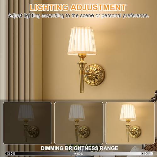Ayzplbh Gold Rechargeable Wall Sconces Set of 2 with Dimmable LED Vintage Fabric Shades