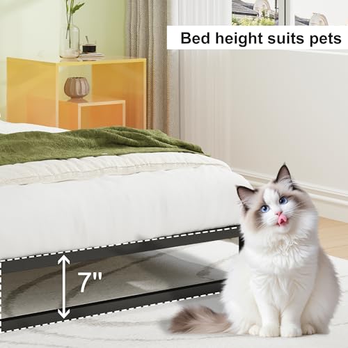 EMODA Queen Bed Frame Black 7 Inch No Box Spring Needed Easy Assembly