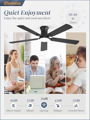 Black 52 Inch Ceiling Fan with Light Remote Control Low Profile Modern Fan