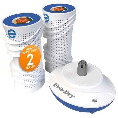 Rechargeable Dehumidifier System with Dual Cylinders for Up to 400 Cu Ft