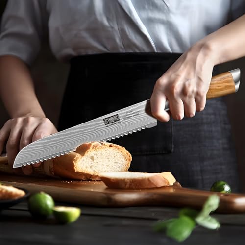 HOSHANHO Damascus Chef Knife Set - Paring, Santoku, Nakiri, Bread Knife