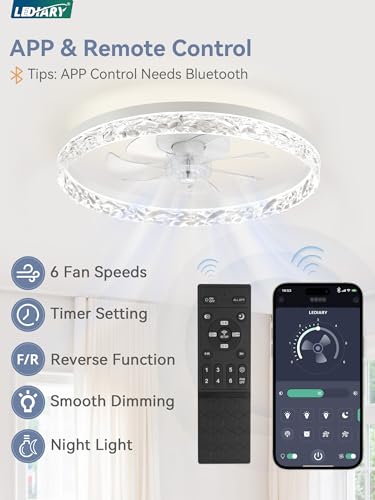 20 Inch Ceiling Fan with Lights and Remote Control - Reversible Motor, Dimmable, White, Variation of THIS listing
