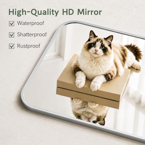 Bathroom Vanity Wall Mirror Set - 30x20 Inches Silver, 2 Pack Variation of THIS listing