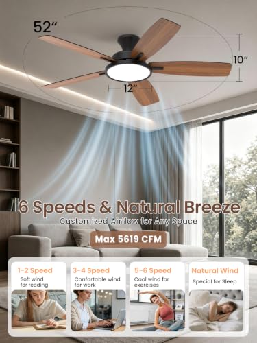 Black 52-Inch Ceiling Fan with Lights and Remote - Low Profile, Reversible DC Motor