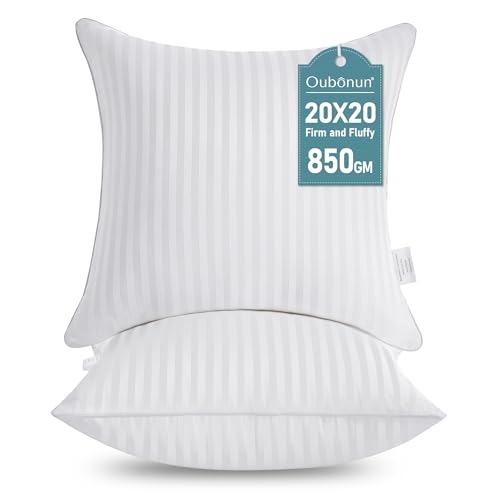 White 20x20 Inch Pillow Inserts Set of 2 - Soft Durable Cotton Support