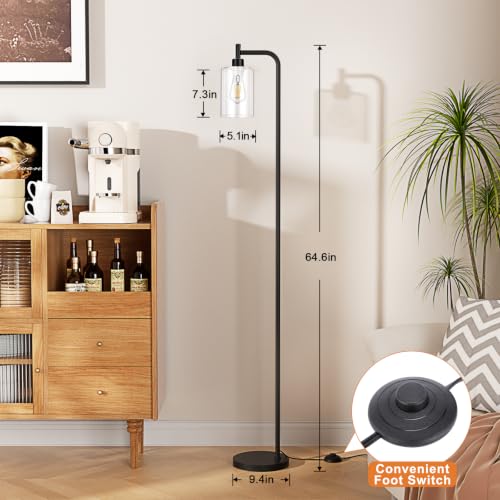 Ziisee Industrial Floor Lamp with Glass Shade - Black & Clear, LED Bulbs, Foot Switch, Easy Assembly