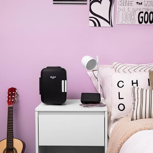 Mini Fridge Cooler & Warmer 4L - Portable Food & Skincare Storage - Black - 12V USB Included