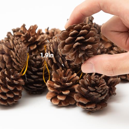 30Pcs Pine Cones for Craft Christmas Rustic Pine Cones with String Fall Garland Decor Christmas Tree Ornaments Winter Vase Filler