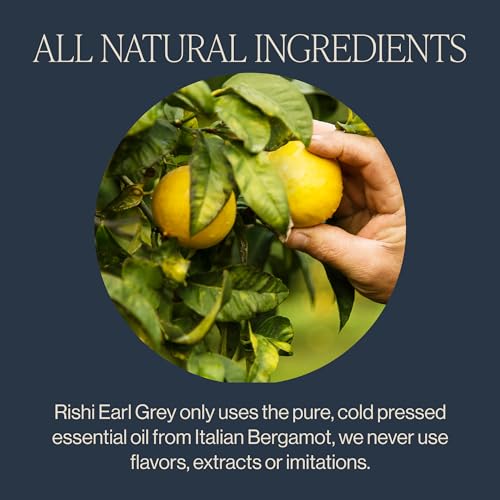 Earl Grey Organic Black Tea Bags - 50 Count Sachets - Caffeinated, Scented Citrus