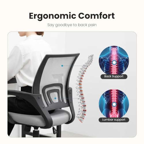 DUMOS Ergonomic Office Chair with Lumbar Support - Grey / 1