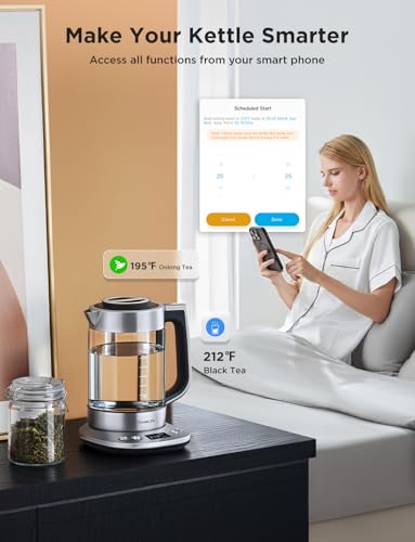 GoveeLife Silver Smart Electric Kettle 1.7L with App & Voice Control