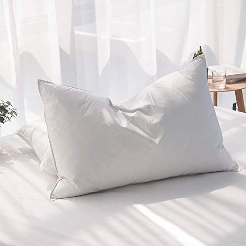 Queen Goose Feather and Down Pillow Set - Ethically Sourced, Hotel Quality