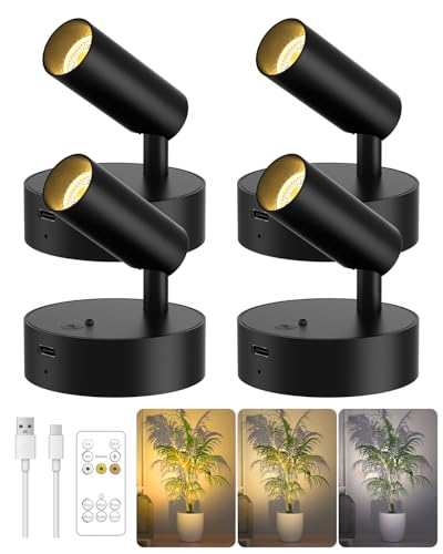 Rechargeable Indoor Spotlight with Remote - Black, 3000mAh, 3 Color Temperatures