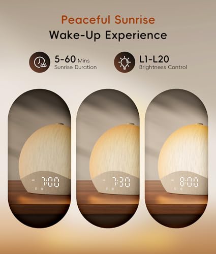 ecozy Sunrise Alarm Clock with White Noise Machine, Sleep Light & Bluetooth
