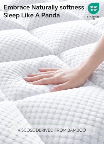 BEDELITE Queen Mattress Topper Pillow Top 2 Inch Cooling Bed Pad White-Blue