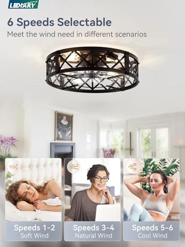 20-Inch Black Caged Farmhouse Ceiling Fan with Light - Flush Mount, Remote & App Control