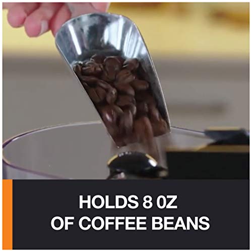 KRUPS Coffee Grinder 12 Settings, 8oz Capacity, Auto-Stop, Easy Clean - Black + Silver