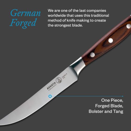 Pakkawood Handle Messermeister Avanta 5” Forged Steak Knife Set, 4-Piece