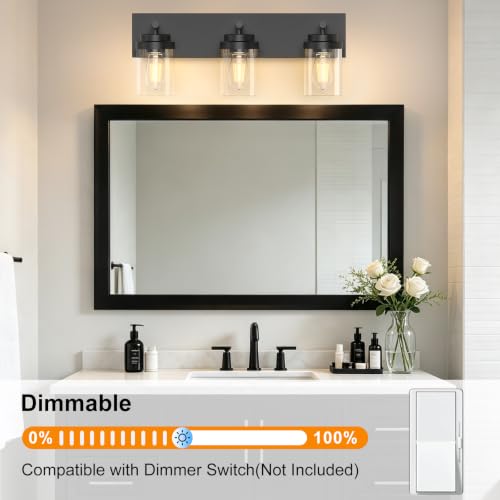 IZORRO 22 Inch Black Bathroom Vanity Light Fixture 3-Light Over Mirror with Clear Glass Shades - Modern Farmhouse Style