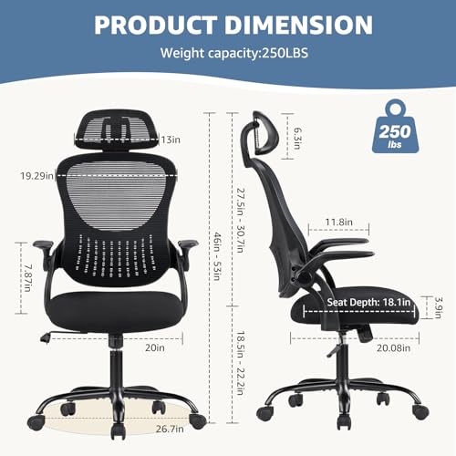 DUMOS Black Ergonomic Office Chair with Lumbar Support & Flip-up Armrests