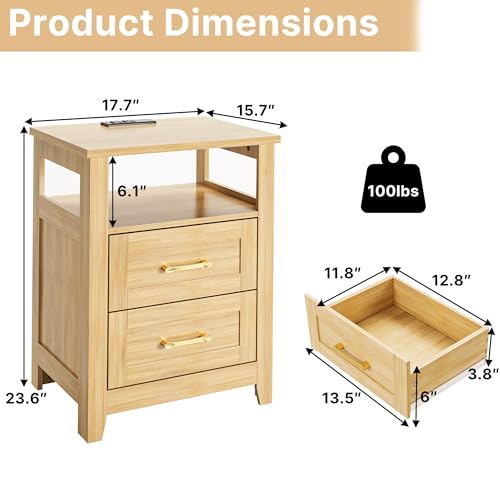 Decofy Farmhouse Oak 2-Drawer Nightstand Set of 2 with Charging Station