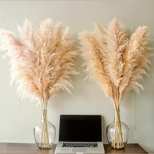 60 Stems Tall Pampas Grass Decor - Natural Beige for Wedding & Boho Home - Variation of THIS listing