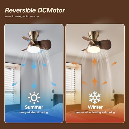 20 Inch Brass Ceiling Fan with Remote, 3 ABS Blades, LED Light for Bedroom & Living Room