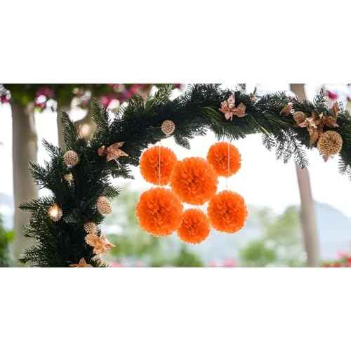 Binpeng Paper Pom Poms Hanging Paper Flower Ball Wedding Party Celebrations Decorations Outdoor Decoration Flowers Craft for Party Birthday Party (BIN-Orange 6pk)