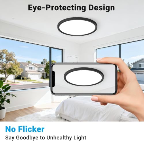 Black 12-Inch LED Flush Mount Ceiling Light 5 Color Temperatures - 2 Pack