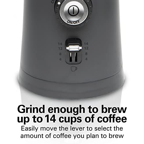 Hamilton Beach Electric Coffee Grinder 14-Cup Capacity, Adjustable Settings