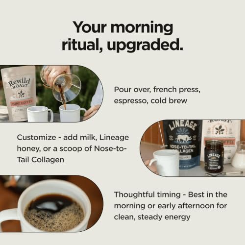 Lineage Provisions Rewild Roast Coffee Beans 12 oz - Medium Roast, Whole Arabica Beans, Single Pack