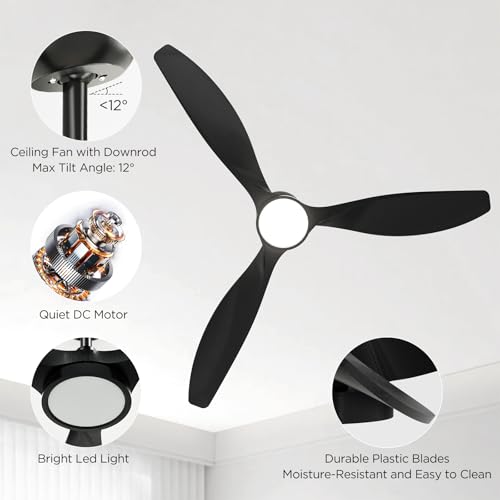 Roomratv 52 Inch Black Modern Ceiling Fan with Dimmable LED Light & Remote