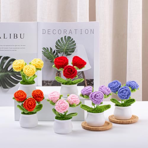 ZHIYUXI Red Eternal Rose Crochet Preserved Roses Forever Flower Decor for Teacher's Day, Birthday, Christmas, Anniversary, Crochet Gifts for Women, Mom, Wife