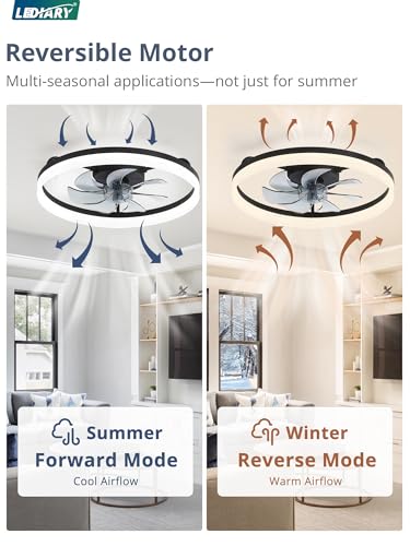 Black 20-Inch Low Profile Ceiling Fan with Lights, APP & Remote Control