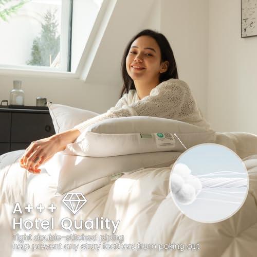 Alanzimo Queen Size Goose Feather Down Pillows Set of 2 20x28 Hotel Collection