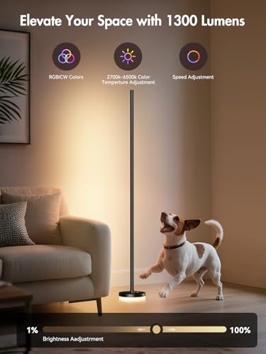 Corner Floor Lamp 1 Pack - RGBICW LED Smart Standing Light with Remote & App Control